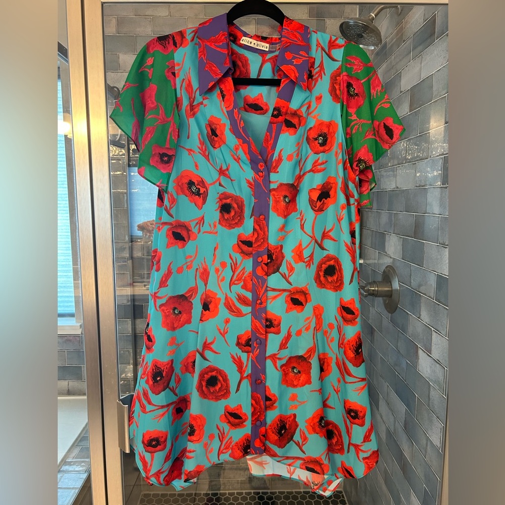 Alice and Olivia dress